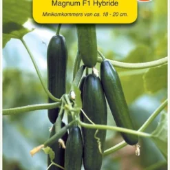 Oranjebandzaden - Komkommer Magnum F1 (vh Melita)