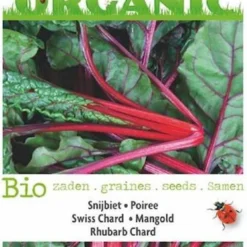 Buzzy Organic Snijbiet Rhubard Chard BIO