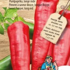 Sluis Garden - Puntpaprika Medrano F1 (Capsicum)
