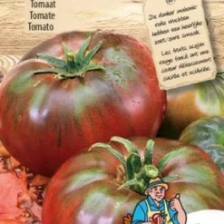 Sluis Garden Tomaat Black Russian