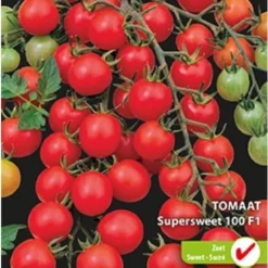 Sluis Garden - Kerstomaat Supersweet 100 F1