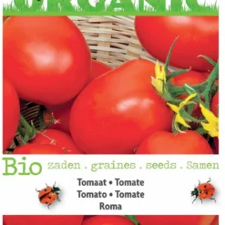 Buzzy® Organic - Tomaat Roma (BIO) -Planten Zorg Verkoop 783x1200