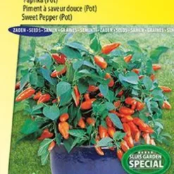 Sluis Garden - Potpaprika Tangerine Dream