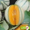 Sluis Garden - Meloen Artemis F1 (Charentais Type)