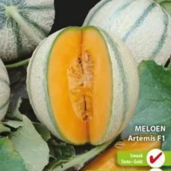 Sluis Garden - Meloen Artemis F1 (Charentais Type)