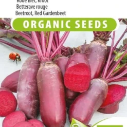 Sluis Garden - Rode Biet Cylindra Biologisch