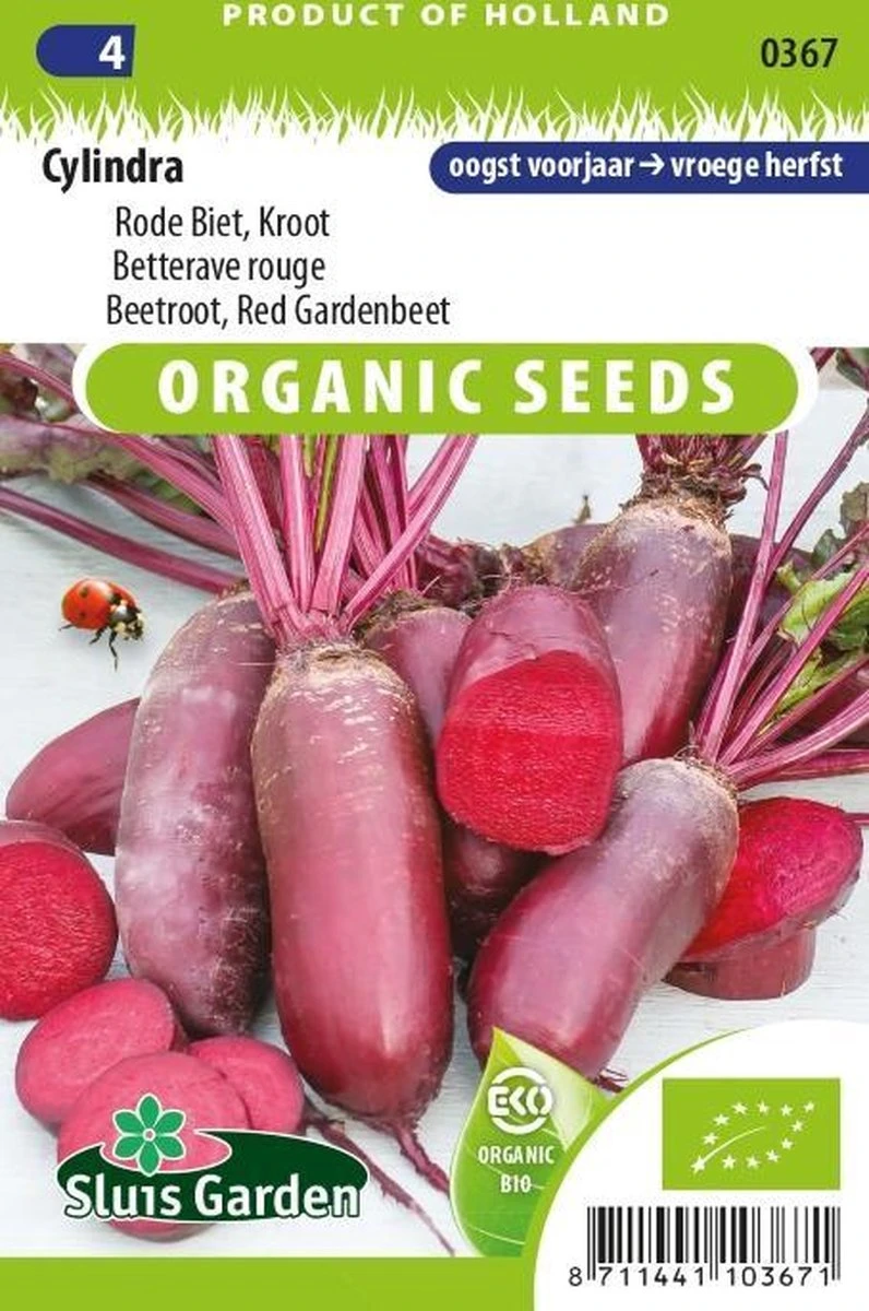 Sluis Garden - Rode Biet Cylindra Biologisch 1 Sluis Garden - Rode Biet Cylindra Biologisch