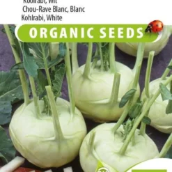 Sluis Garden - Koolrabi Lanro Biologisch