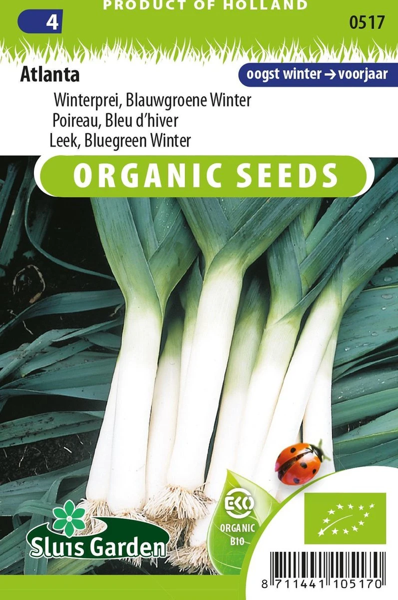 Sluis Garden - Prei, Winterprei Blauwgroene Winter Atlanta 1 Sluis Garden - Prei, Winterprei Blauwgroene Winter Atlanta