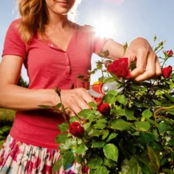 WOLF-Garten Snoeischaar "Premium Plus" RR 4000 - Max. Knipdiameter 22 Mm - Links- En Rechtshandige - Softinleg Handgreep - Snijhoek 30° - Voor Grote Handen - Vervangbare Messen 22 WOLF-Garten Snoeischaar "Premium Plus" RR 4000 - Max. Knipdiameter 22 Mm - Links- En Rechtshandige - Softinleg Handgreep - Snijhoek 30° - Voor Grote Handen - Vervangbare Messen -Planten Zorg Verkoop 799x1200 26