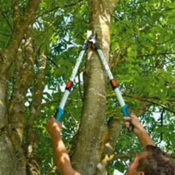 Gardena TeleCut Takkenschaar 650-900 B - Uitschuifbare Armen - Tot Max 90 Cm 24 Gardena TeleCut Takkenschaar 650-900 B - Uitschuifbare Armen - Tot Max 90 Cm -Planten Zorg Verkoop 801x1200 3