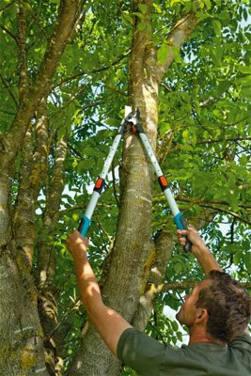 Gardena TeleCut Takkenschaar 650-900 B - Uitschuifbare Armen - Tot Max 90 Cm 11 Gardena TeleCut Takkenschaar 650-900 B - Uitschuifbare Armen - Tot Max 90 Cm - Afbeelding 11