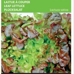 Buzzy Zaden Pluksla Red Salad Bowl, Rode Eikenblad -Planten Zorg Verkoop 807x1200 10