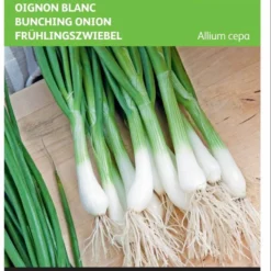 Buzzy Zaden - Bosuien White Lisbon (Allium) 7 Buzzy Zaden - Bosuien White Lisbon (Allium) -Planten Zorg Verkoop 807x1200