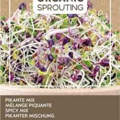 Buzzy® Organic Sprouting Salademengsel Pikant (BIO) 3 Buzzy® Organic Sprouting Salademengsel Pikant (BIO) -Planten Zorg Verkoop 807x1200 4