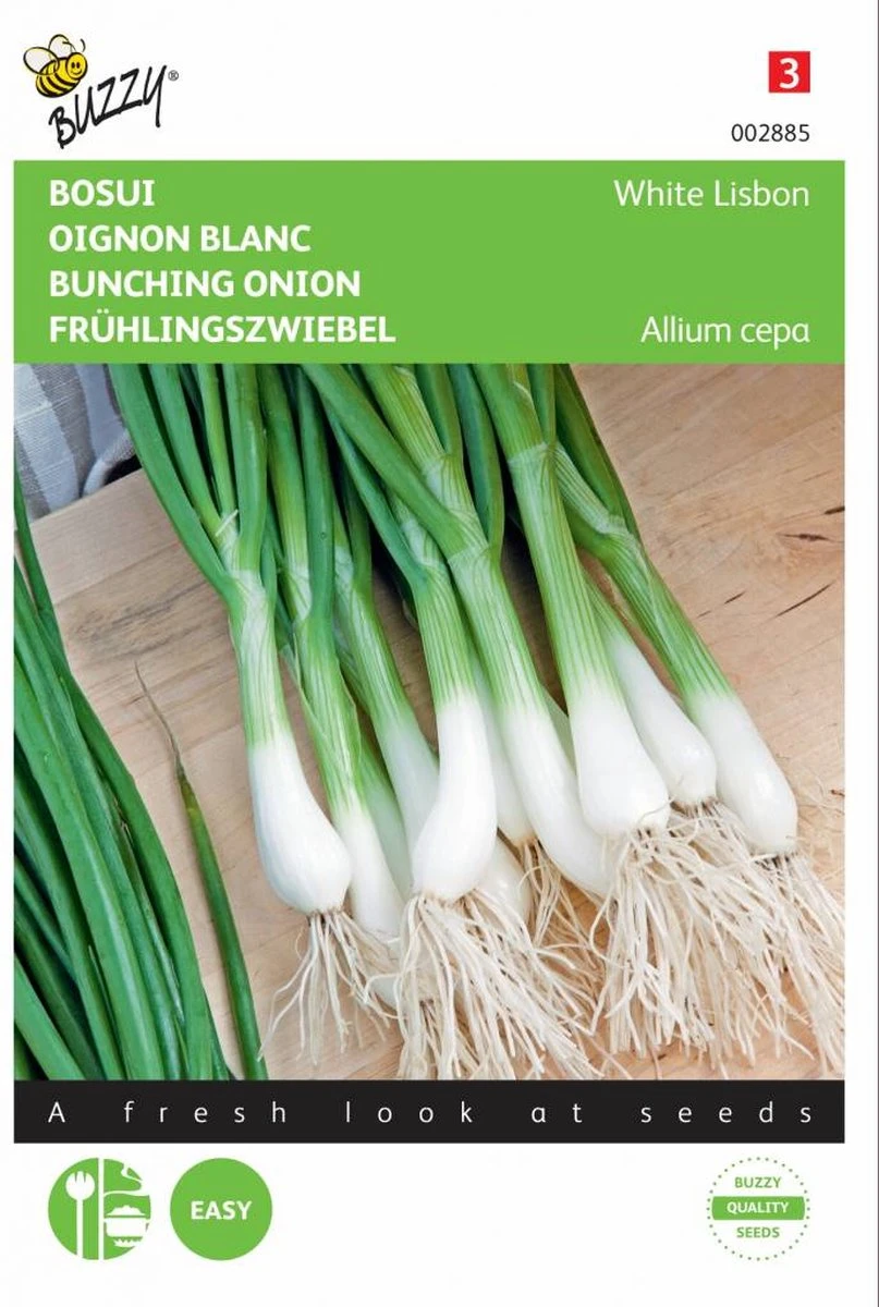 Buzzy Zaden - Bosuien White Lisbon (Allium) 4 Buzzy Zaden - Bosuien White Lisbon (Allium) - Afbeelding 4