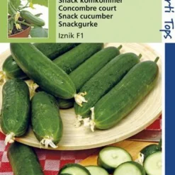 Hortitops Zaden - Snackkomkommer Iznik F2