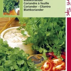 Hortitops Zaden - Koriander, Fijnzadig Traagschietend