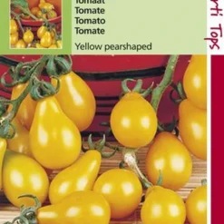 Hortitops Tomaten Yellow Pearshaped