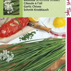 Hortitops Zaden - Chinese Knoflook-Bieslook