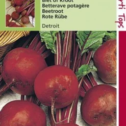 Hortitops - Groentezaad - Bieten Kogel