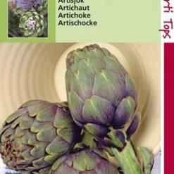 Hortitops Zaden - Artisjok Violet De Provence