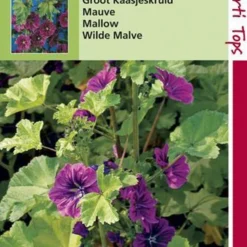 Hortitops Zaden - Kaasjeskruid