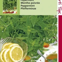 Hortitops Zaden - Pepermunt