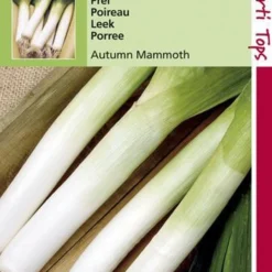 Hortitops Zaden - Prei Herfstreuzen 2 (Verb. Olifant)