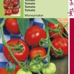 Hortitops Zaden - Tomaten Moneymaker
