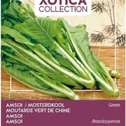 Xotica Amsoi Mung Choi