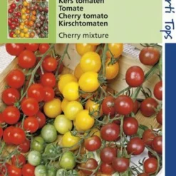 Hortitops Zaden - Tomaten Cherry - 4 Kleuren