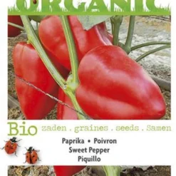 Buzzy® Organic - Paprika Piquillo Rood (BIO) 5 Buzzy® Organic - Paprika Piquillo Rood (BIO) -Planten Zorg Verkoop 811x1200 5