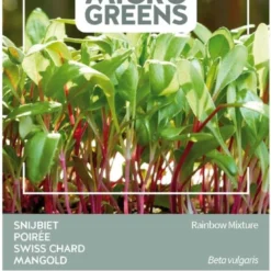 Buzzy® Microgreens, Snijbiet Regenboogmengsel