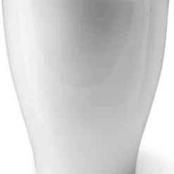 Ecoworld Mini Varen Plantjes Mix - Inclusief Mini Planten Potjes - 5 Stuks - Ø 6 Cm Hoogte 8-15 Cm 13 Ecoworld Mini Varen Plantjes Mix - Inclusief Mini Planten Potjes - 5 Stuks - Ø 6 Cm Hoogte 8-15 Cm -Planten Zorg Verkoop 813x1200 2