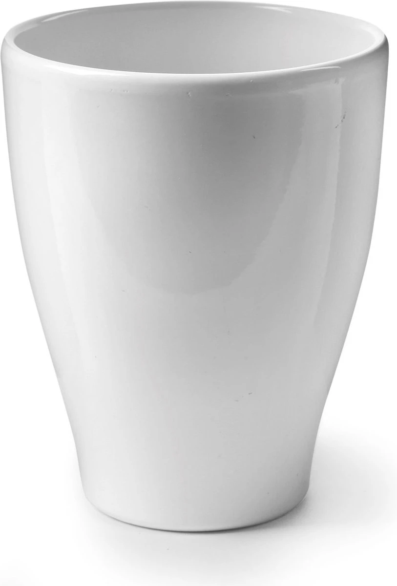 Ecoworld Mini Varen Plantjes Mix - Inclusief Mini Planten Potjes - 5 Stuks - Ø 6 Cm Hoogte 8-15 Cm 7 Ecoworld Mini Varen Plantjes Mix - Inclusief Mini Planten Potjes - 5 Stuks - Ø 6 Cm Hoogte 8-15 Cm - Afbeelding 7