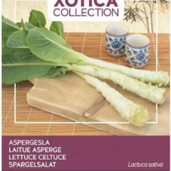 Buzzy® Xotica Palmboom Sla - Aspergesla