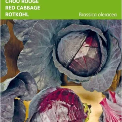 Buzzy® Rode Kool Roodkop