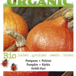 Buzzy® Organic Pompoen Uchiki Kuri (BIO) 5 Buzzy® Organic Pompoen Uchiki Kuri (BIO) -Planten Zorg Verkoop 815x1200 2