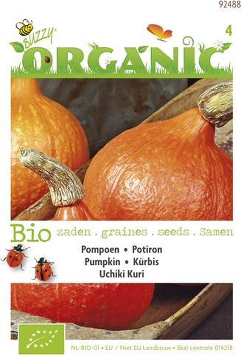 Buzzy® Organic Pompoen Uchiki Kuri (BIO) 3 Buzzy® Organic Pompoen Uchiki Kuri (BIO) - Afbeelding 3