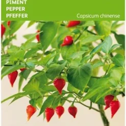 Buzzy - Peper Biquinho (Capsicum Chinense)