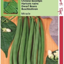 Hortitops Zaden - Struikprinsessenbonen Miracle Chinese Boontjes 25 Gram