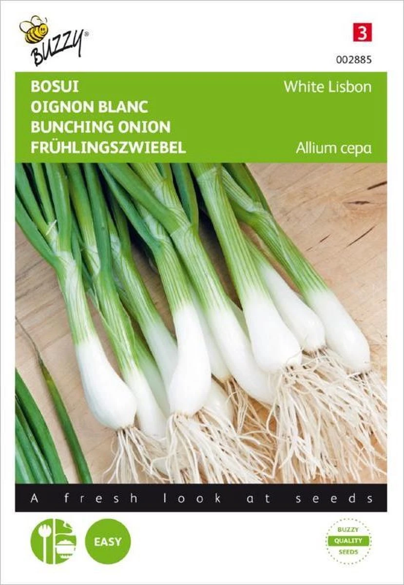 Buzzy Zaden - Bosuien White Lisbon (Allium) 1 Buzzy Zaden - Bosuien White Lisbon (Allium)