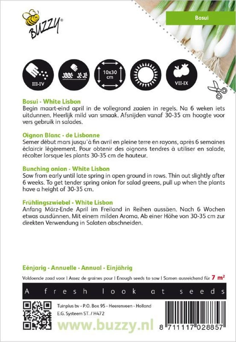 Buzzy Zaden - Bosuien White Lisbon (Allium) 2 Buzzy Zaden - Bosuien White Lisbon (Allium) - Afbeelding 2