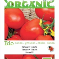 Buzzy® Organic - Tomaat Roma (BIO)