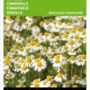 Buzzy Zaden - Kamille - Matricaria Chamomilla