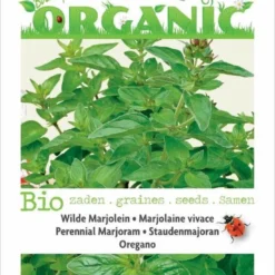 Buzzy® Organic Marjolein - Oregano (BIO)