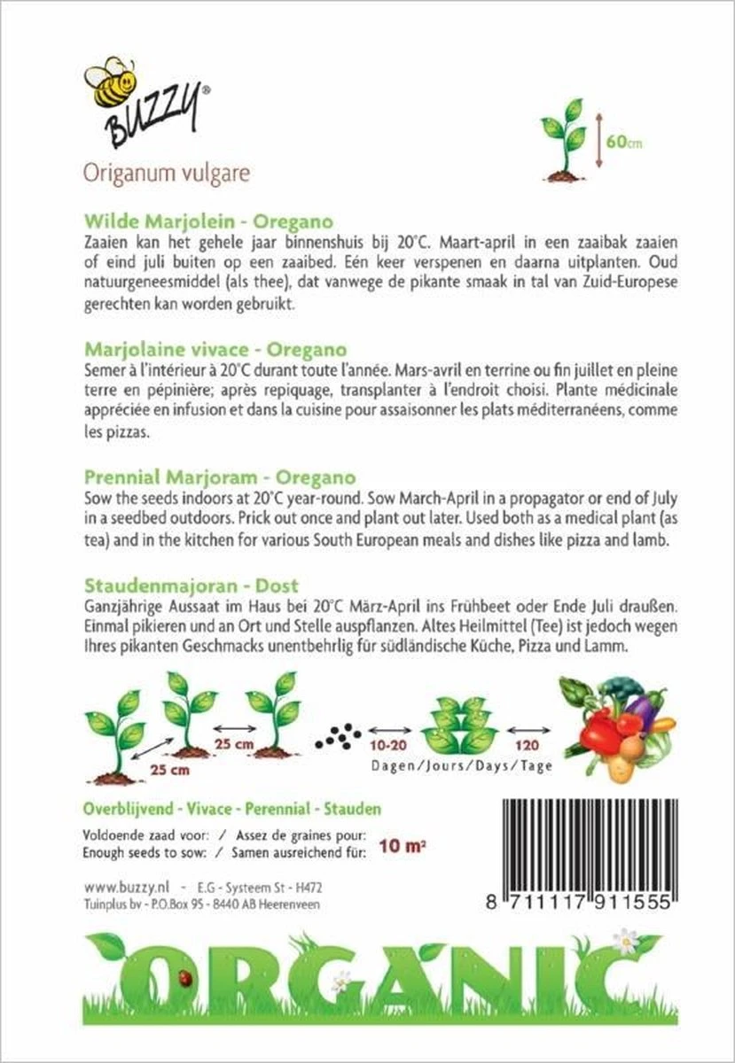 Buzzy® Organic Marjolein - Oregano (BIO) 2 Buzzy® Organic Marjolein - Oregano (BIO) - Afbeelding 2