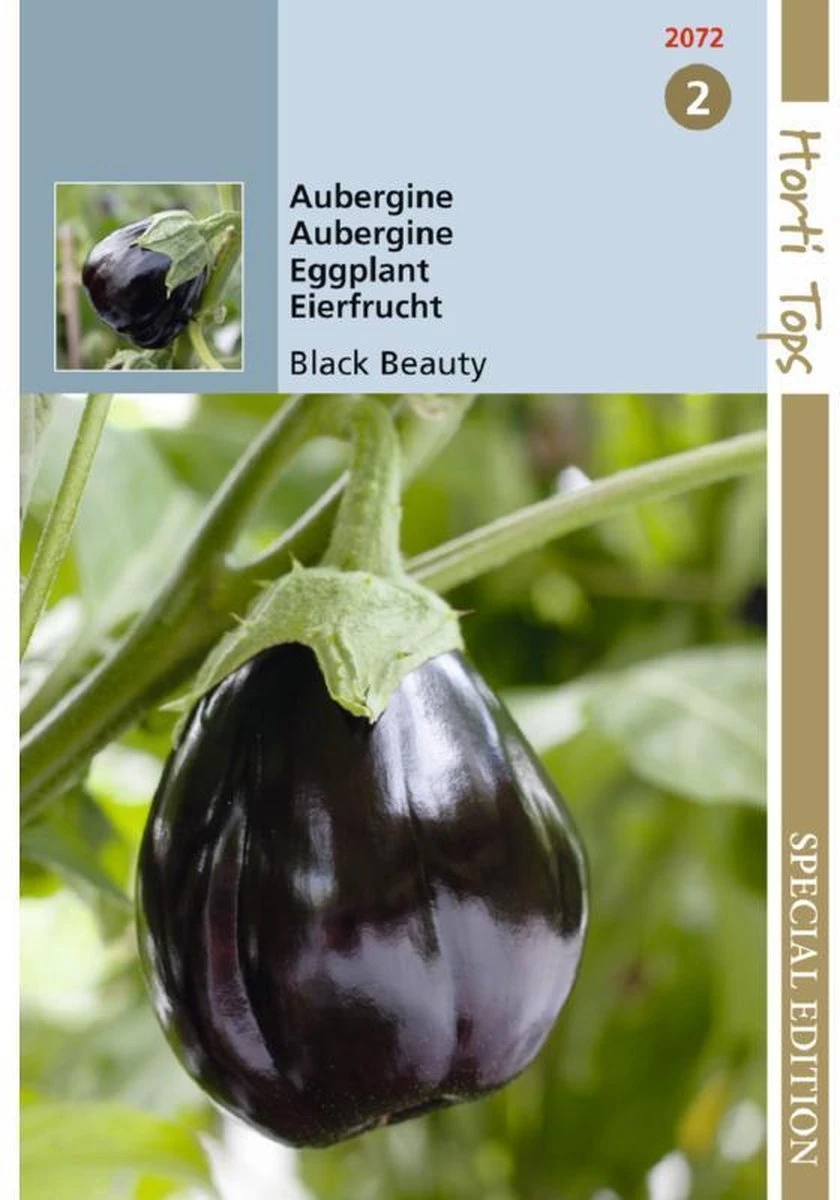 Hortitops Zaden - Aubergine Black Beauty 1 Gram 1 Hortitops Zaden - Aubergine Black Beauty 1 Gram
