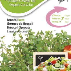 Buzzy® Organic Sprouting Broccolikers (BIO) -Planten Zorg Verkoop 842x1200 4